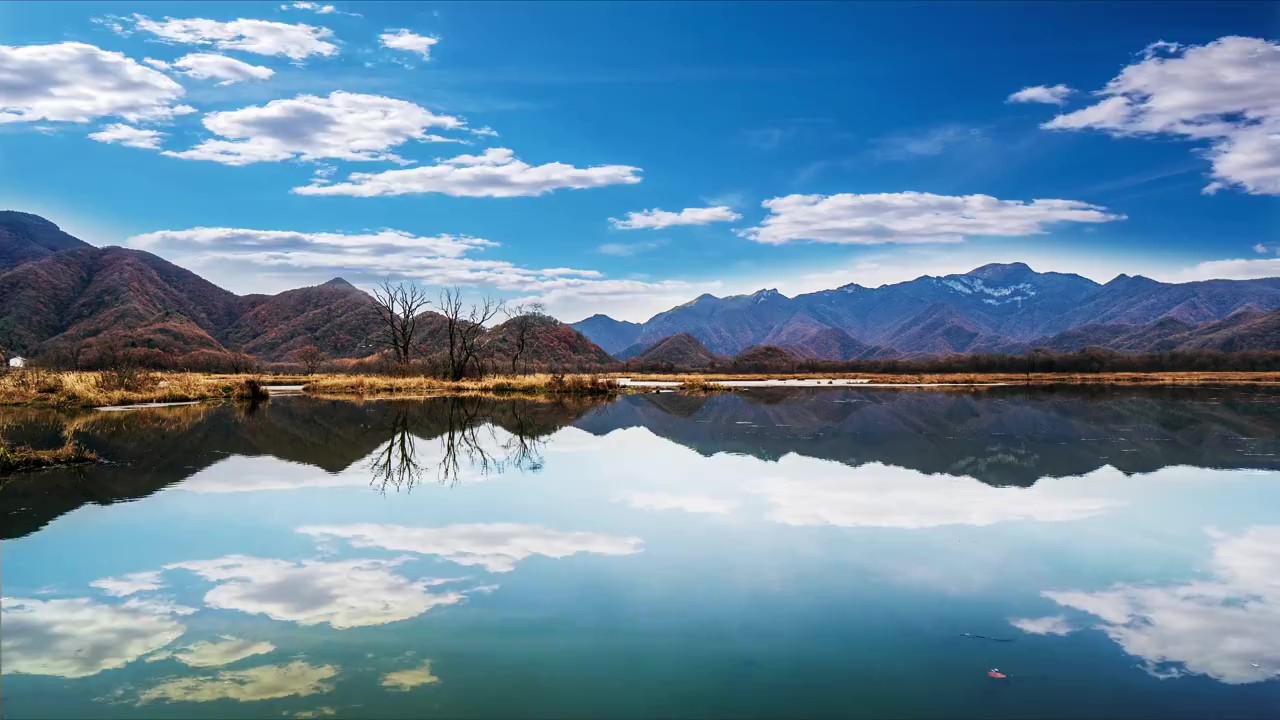 全新研发的新结构活动连接器实现了人均产能3倍提升
